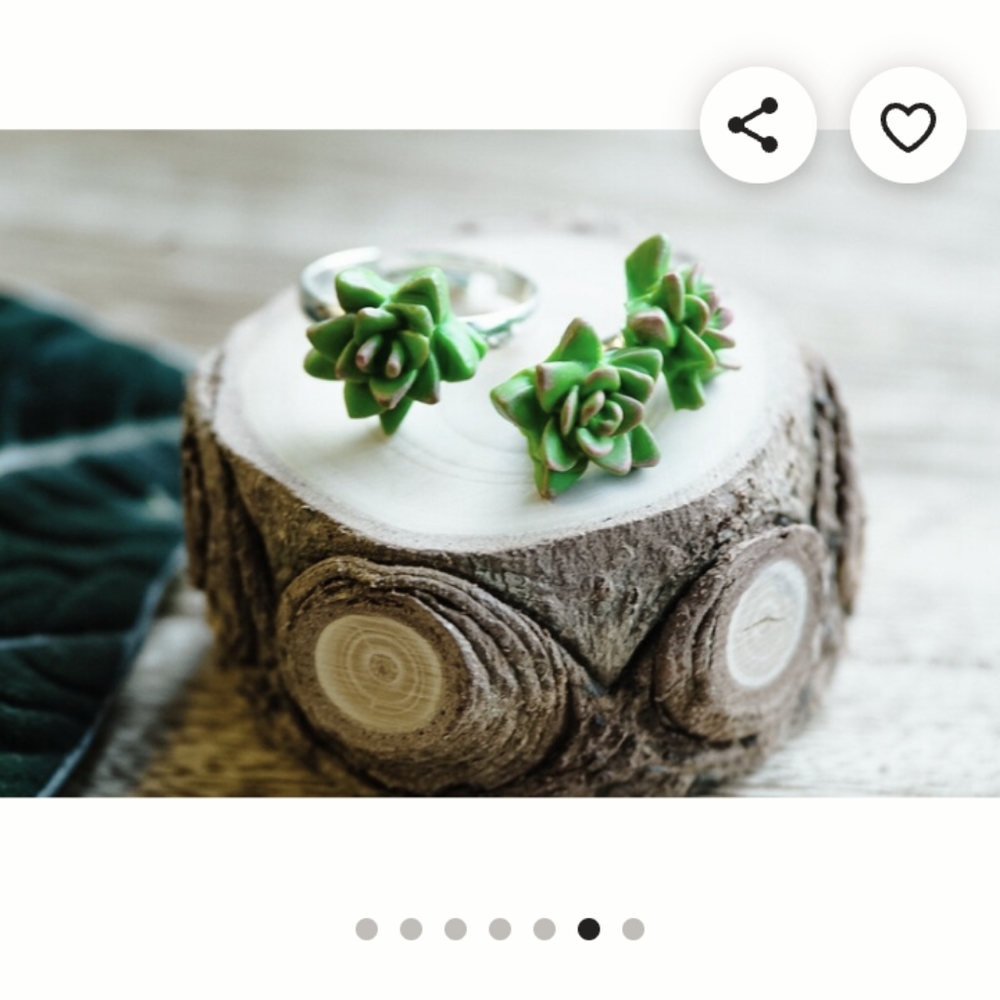 Adjustable size 8 succulent plant leaf cactus silver stainless steel ring clay